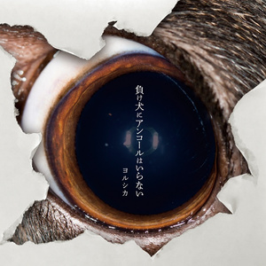 免费AV无码网站
