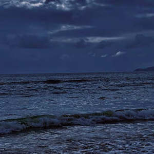 免费AV无码网站
