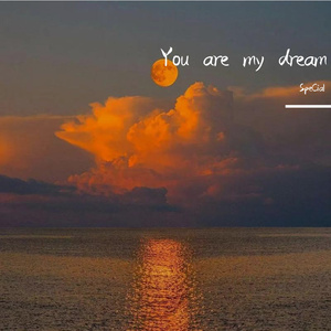 免费AV无码网站
