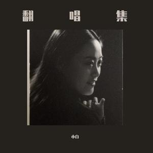 免费AV无码网站
