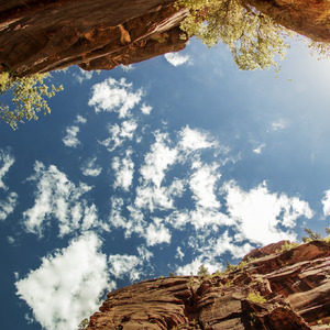 免费AV无码网站
